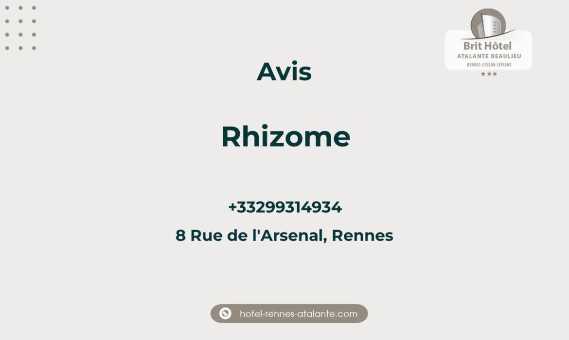 Avis sur Rhizome, 8 Rue de l'Arsenal, Rennes
